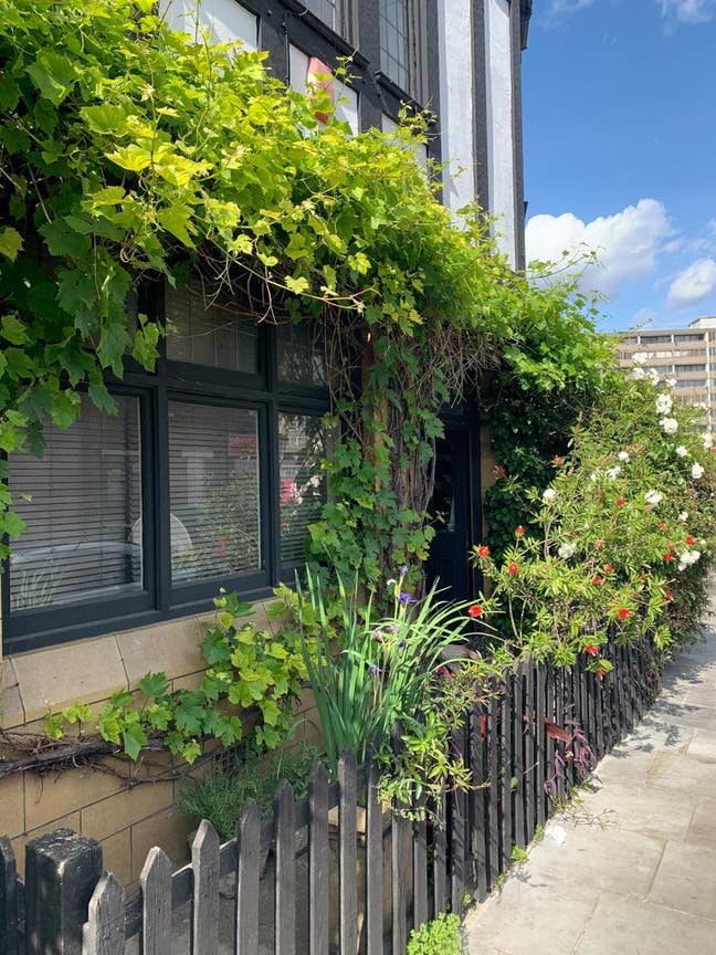 Large double room in queer flat share in E&C Main Photo