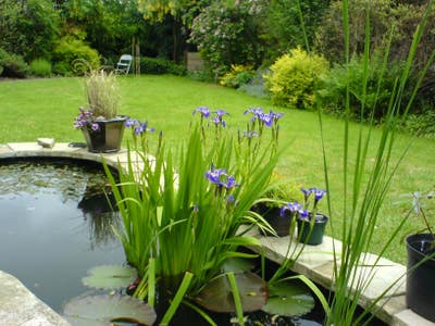Large Double Room in Fab House, Parking & Garden Main Photo