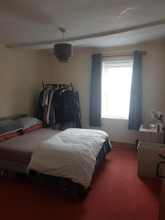 Large double room in Dawlish  Main Photo