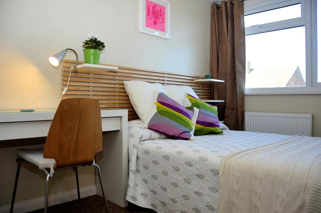 Light and roomy, social House  Main Photo