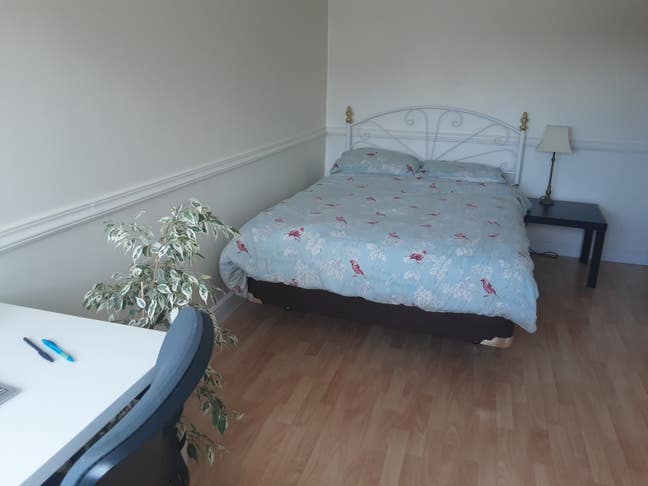 Huge Double Room near Farnham Main Photo