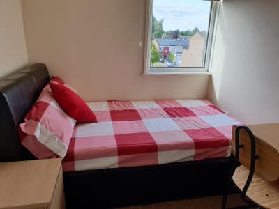 Beautiful Bright Single Room  Main Photo