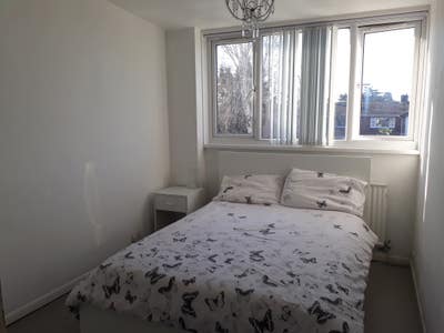 Lovely sunny single room. Main Photo