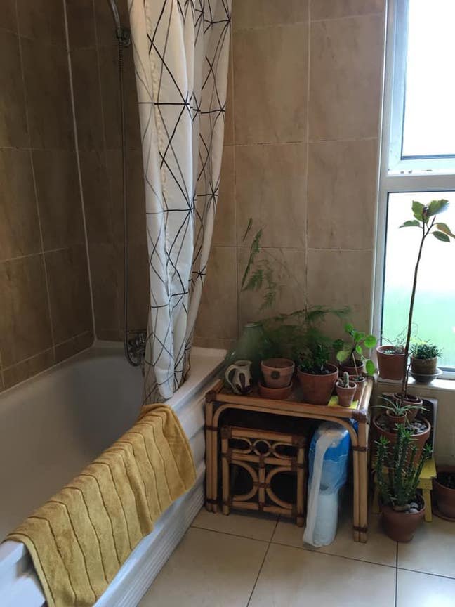 One Double Room - Queer Household - E5 Clapton Main Photo