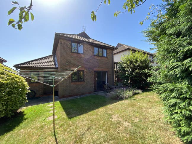 Barton Hills Beautiful Views  - RoomsbySue Main Photo