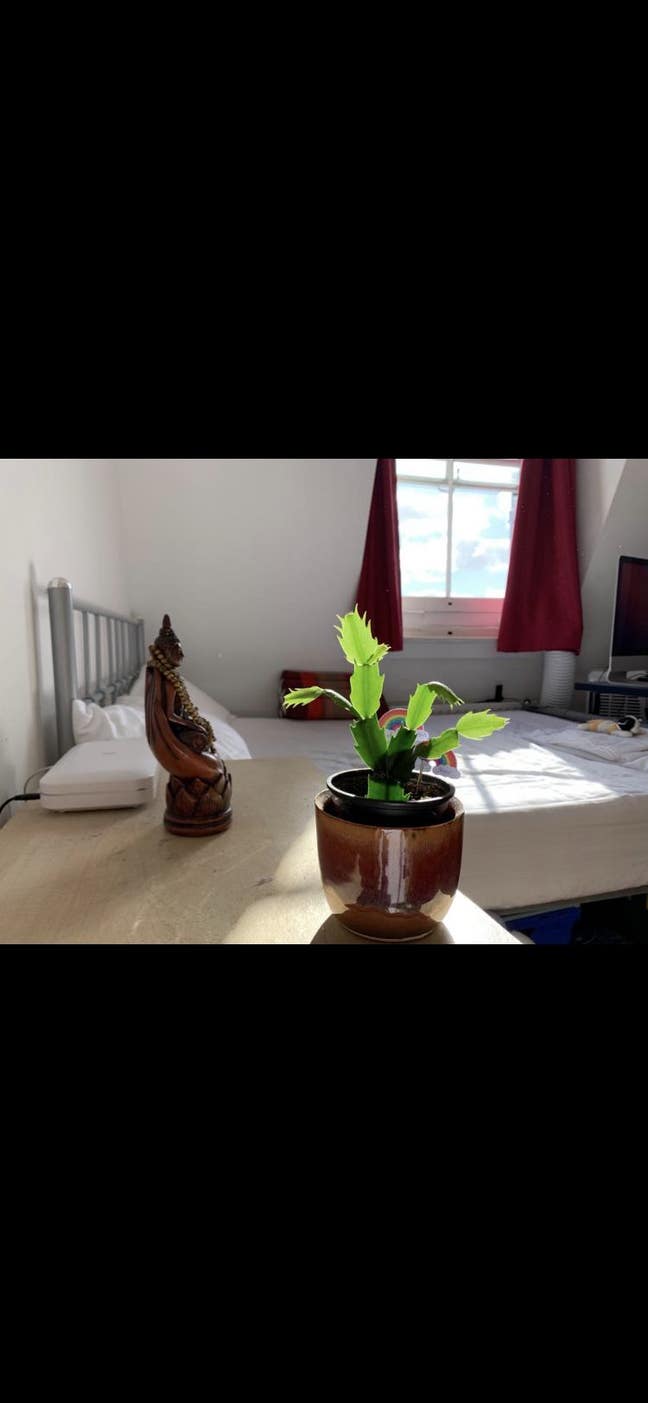 Double &Large Single Room to Let Main Photo