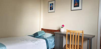 BIG  SUNNY newly refurbished room in Tooting Main Photo