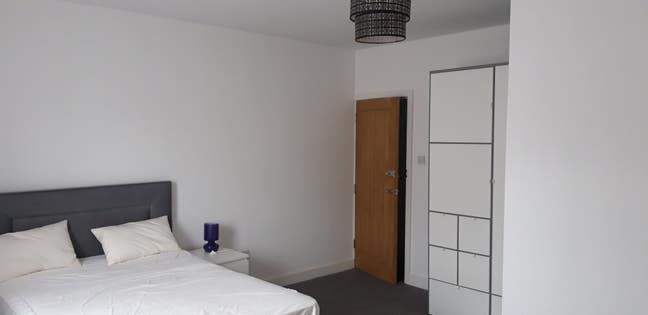 Single room to let Main Photo