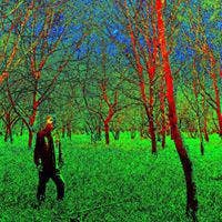 Nature loving fine artist. Main Photo