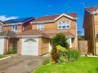 Single room in Detached house Available Main Photo
