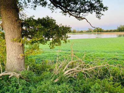 Double Bedroom to rent . Main Photo