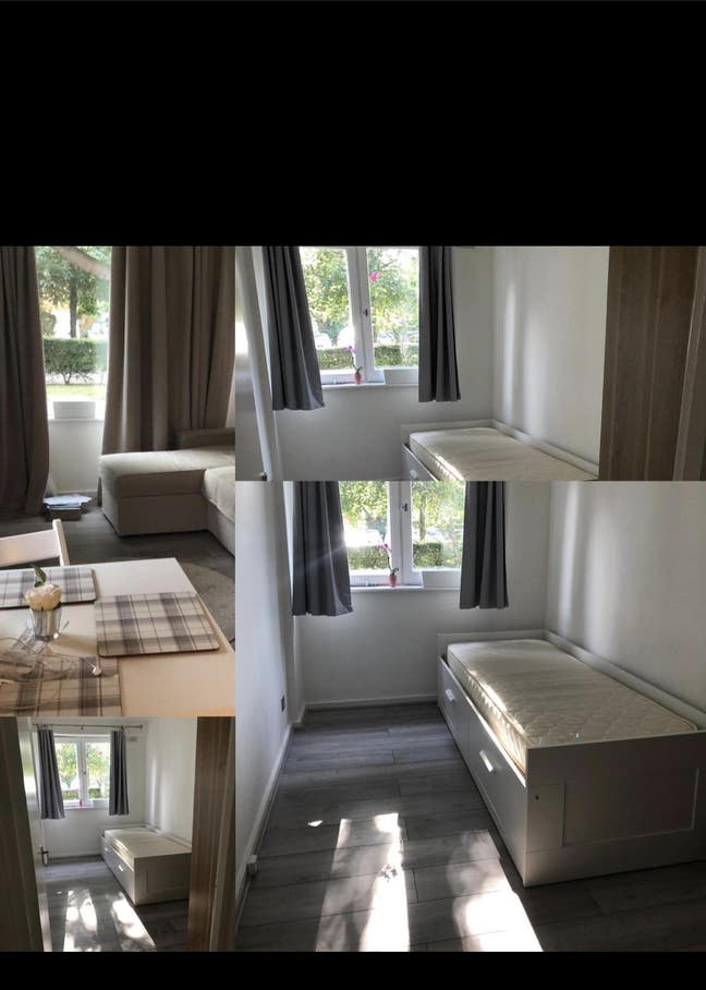 Room to rent  Main Photo