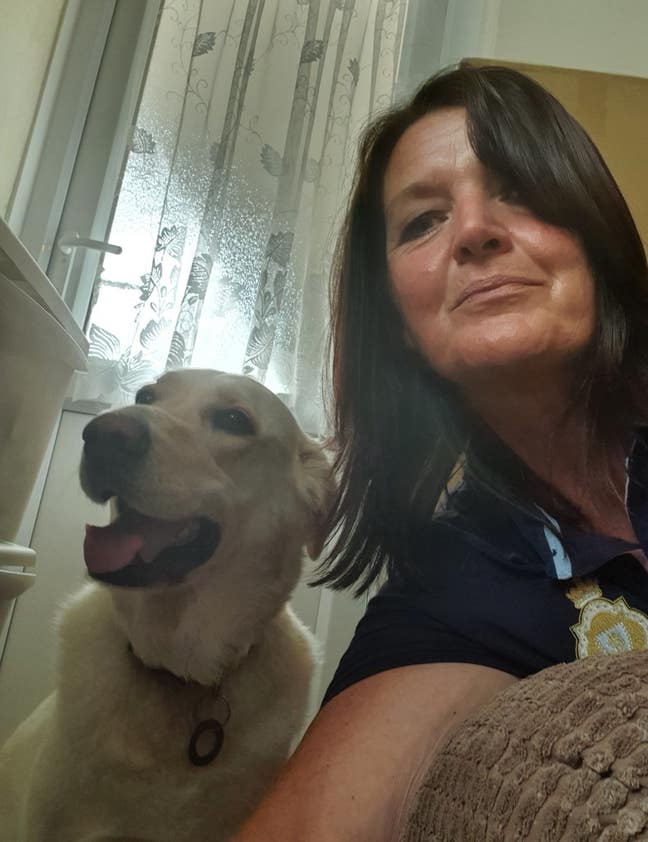 Looking for house or flat Main Photo