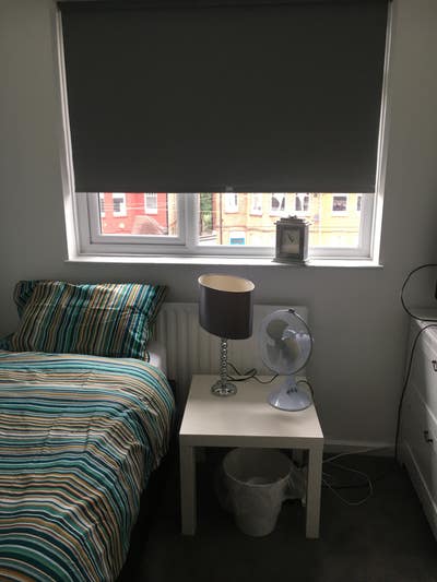 Single room to let  Main Photo