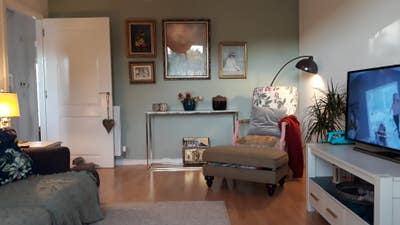 Rooms available until September  Main Photo