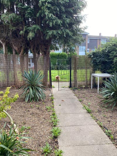 Near Galleria  lovely room in a beautiful house  Main Photo