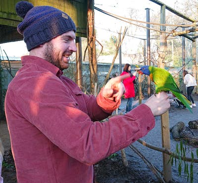 Professional male seeks annex or double room Main Photo