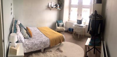 Double room to rent in bright, airy West End flat Main Photo