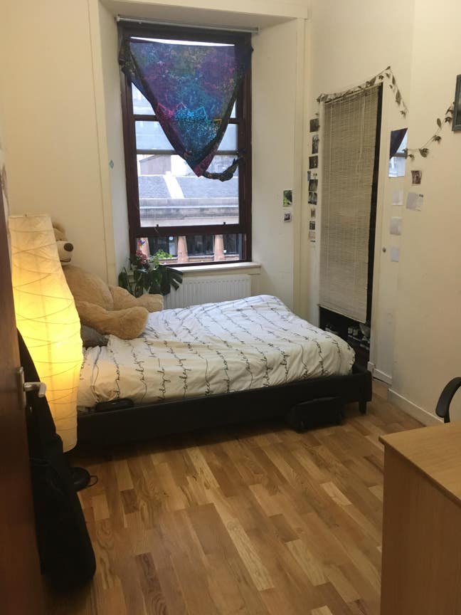Room Available from the 12th December Main Photo