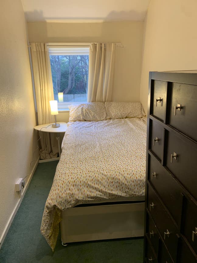 Professional House Share  Main Photo