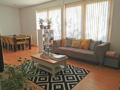 Spacious double room to rent in bright sunny flat Main Photo