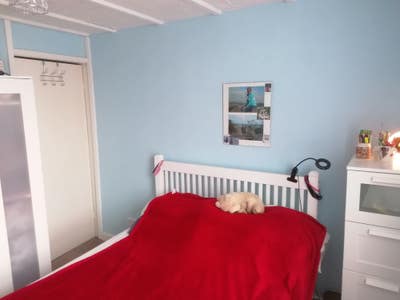 Double room in Kingswood Main Photo