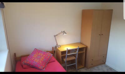 Single room to rent Main Photo