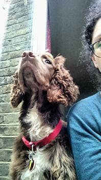 Looking for short term flexible let in lovely home Main Photo