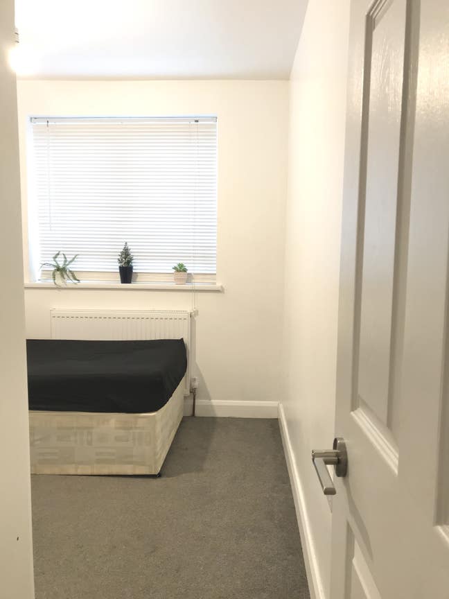  Single Room available  Main Photo