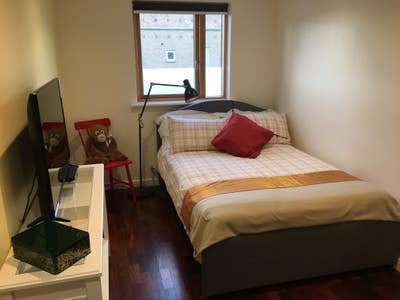 Beautiful and Spacious Room to Rent Main Photo