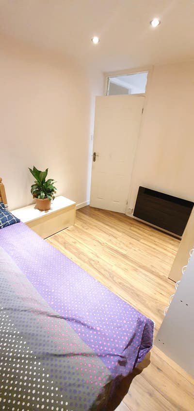 Large Single Room - Better than the pictures. Main Photo