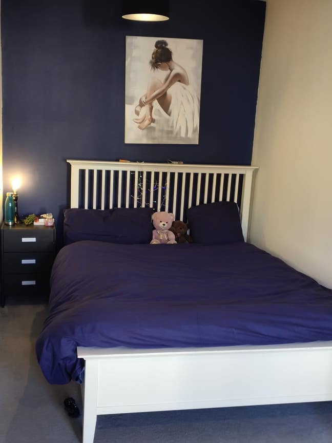 Lovely DBL room in professional House share. &pound;100 Main Photo