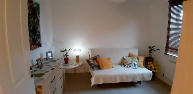 Large single room  Main Photo