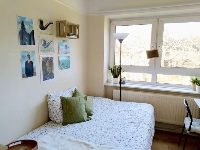 Bright room in the heart of Hampstead Heath! Main Photo