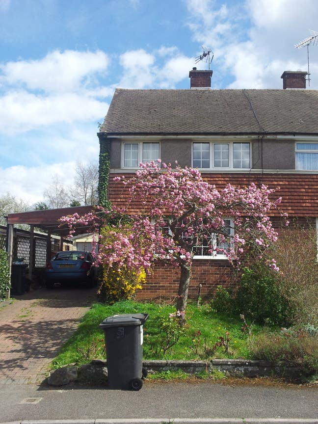 Single room Main Photo