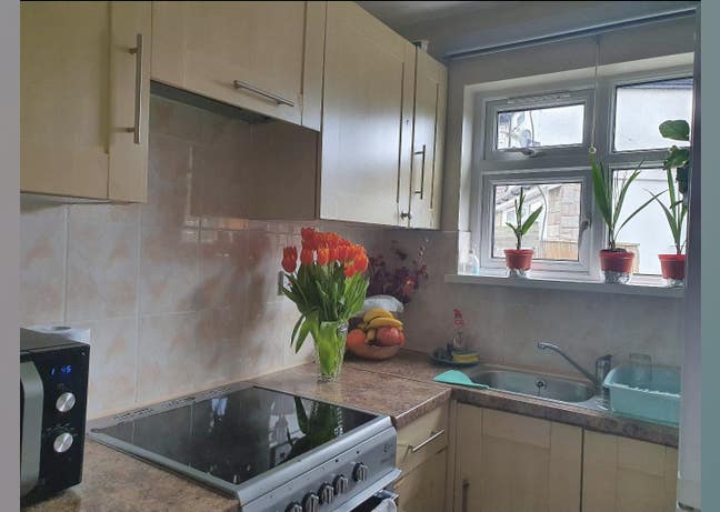 All inclusive modern studio flat Main Photo