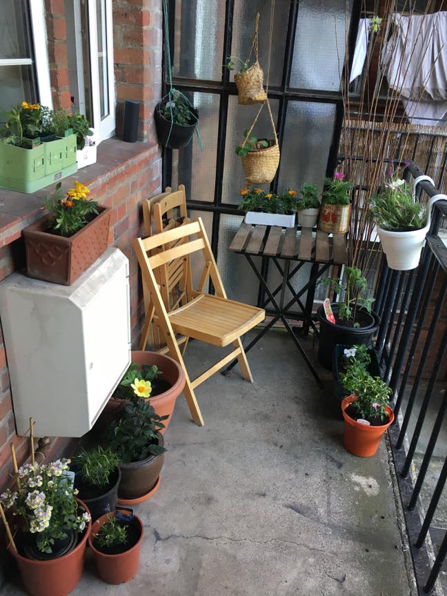 Clissold Park - Spacious bright double w/ Balcony Main Photo