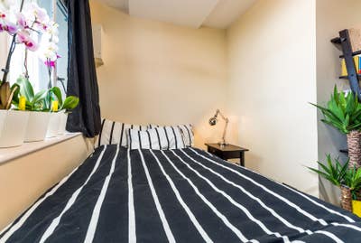 Sunny Cute Central apartment in Bloomsbury Main Photo