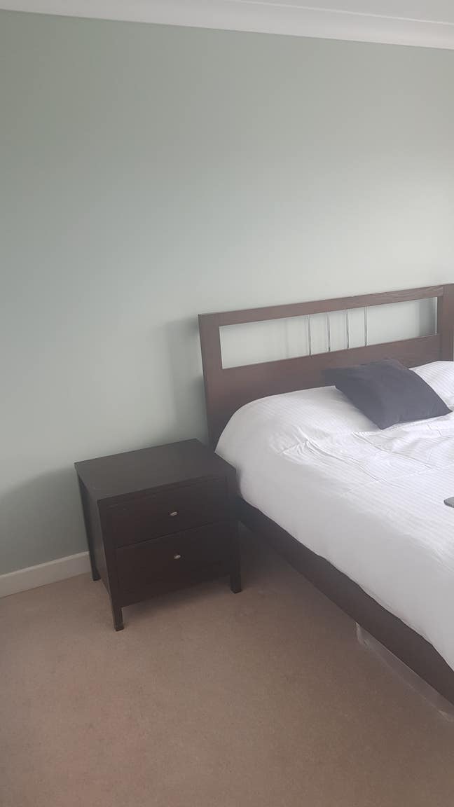 Double Room Available Jan '26. *Must Like Dogs Main Photo