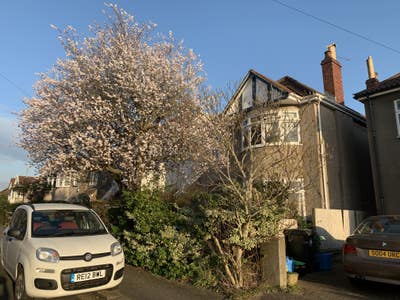 Beautiful Large Light King Size Bdrm in Fab House Main Photo