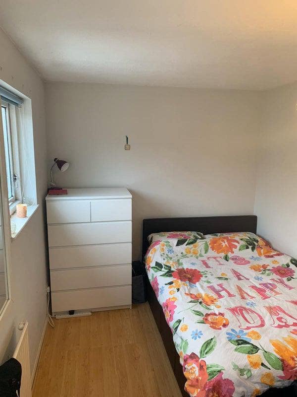 Nice Female house Main Photo