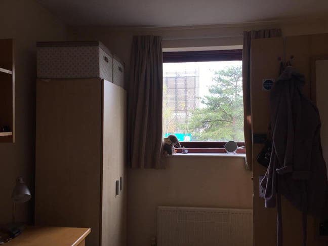 Double room near Lister Hospital  Main Photo