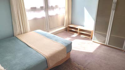 Cosy and spacious double room in Euston (zone 1) Main Photo