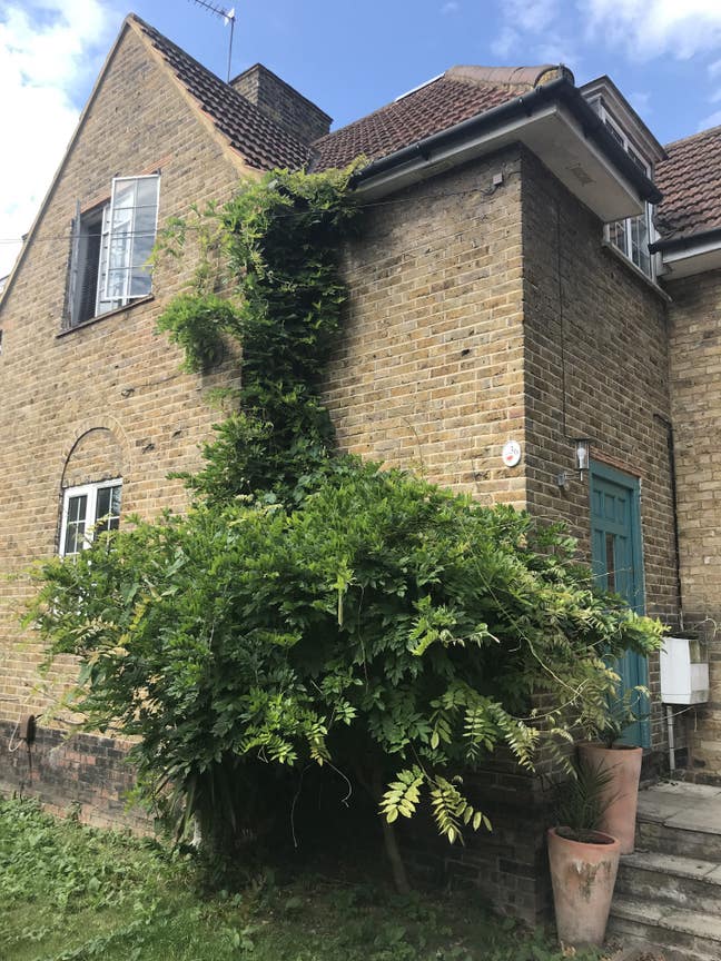 Double room in spacious house Main Photo