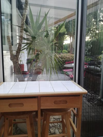 Nurses/ Dr.s single beautiful Garden room 28/12/26 Main Photo