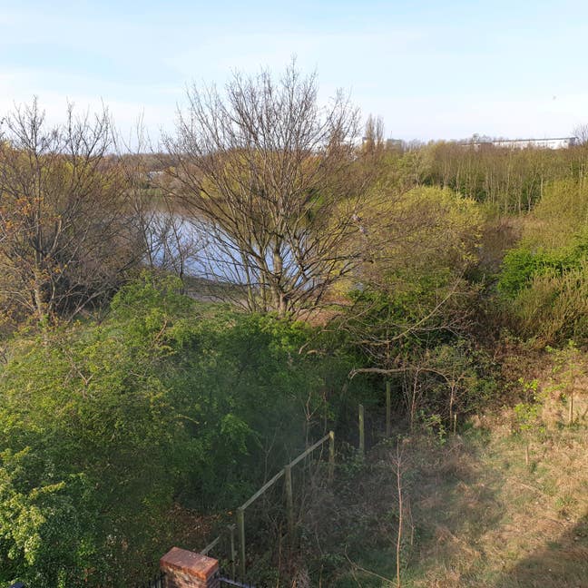 Room with a river view - pets welcome! Main Photo