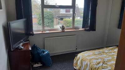 2 rooms & bathroom, detached house close Norwich Main Photo