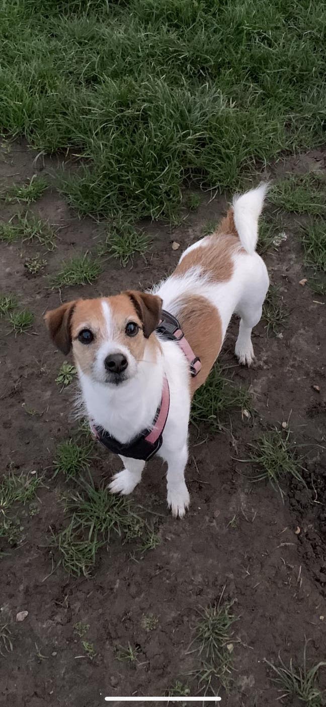 chill female looking for house or flat share  Main Photo