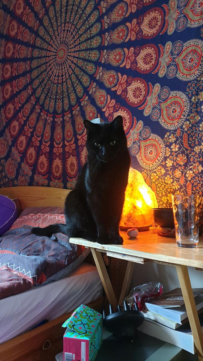 Room wanted  Main Photo