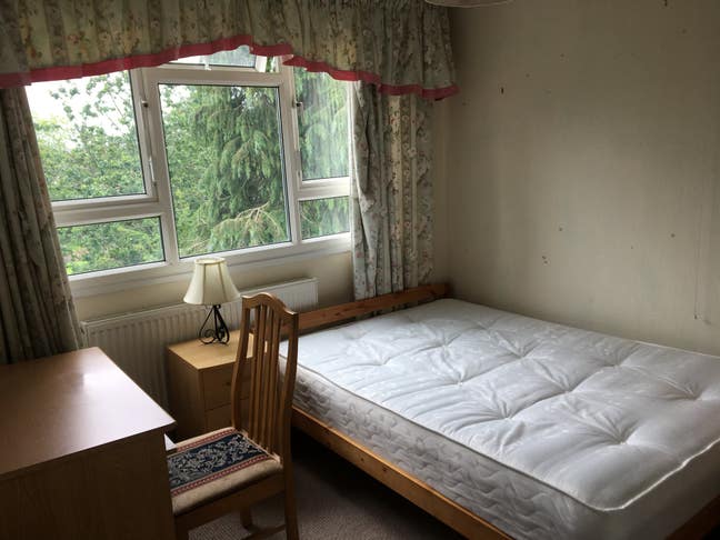 Bright room with great park view close to centre Main Photo